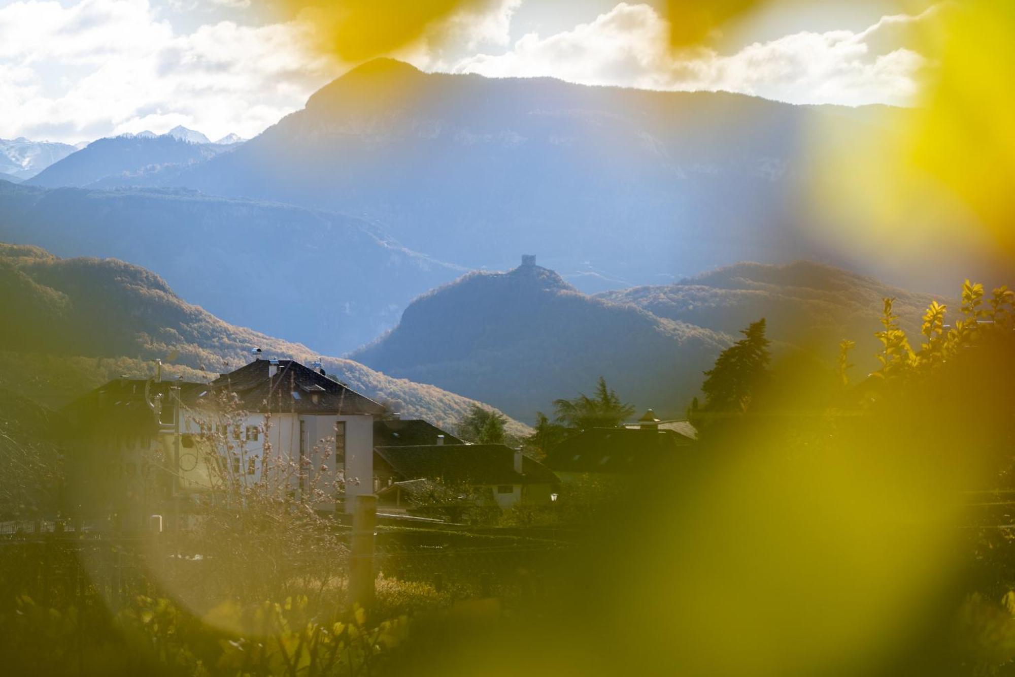 Castel Sallegg Suites Adults Only Caldaro Kültér fotó